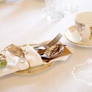 Plain Tablecloths and Napkins